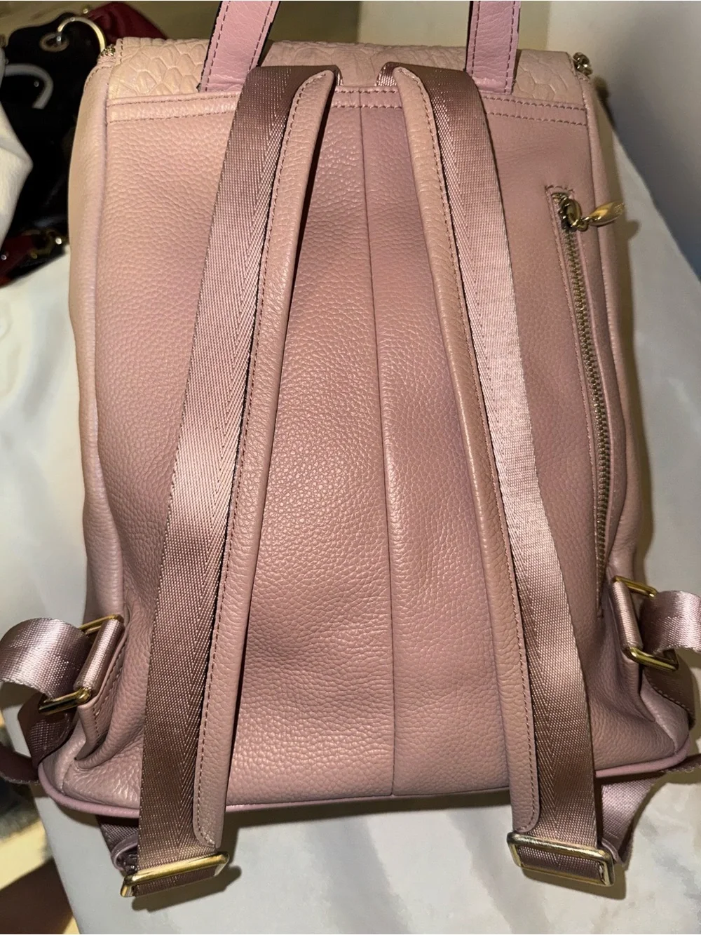 Cluci Vintage Women's Blush Pink Textured Leather Backpack